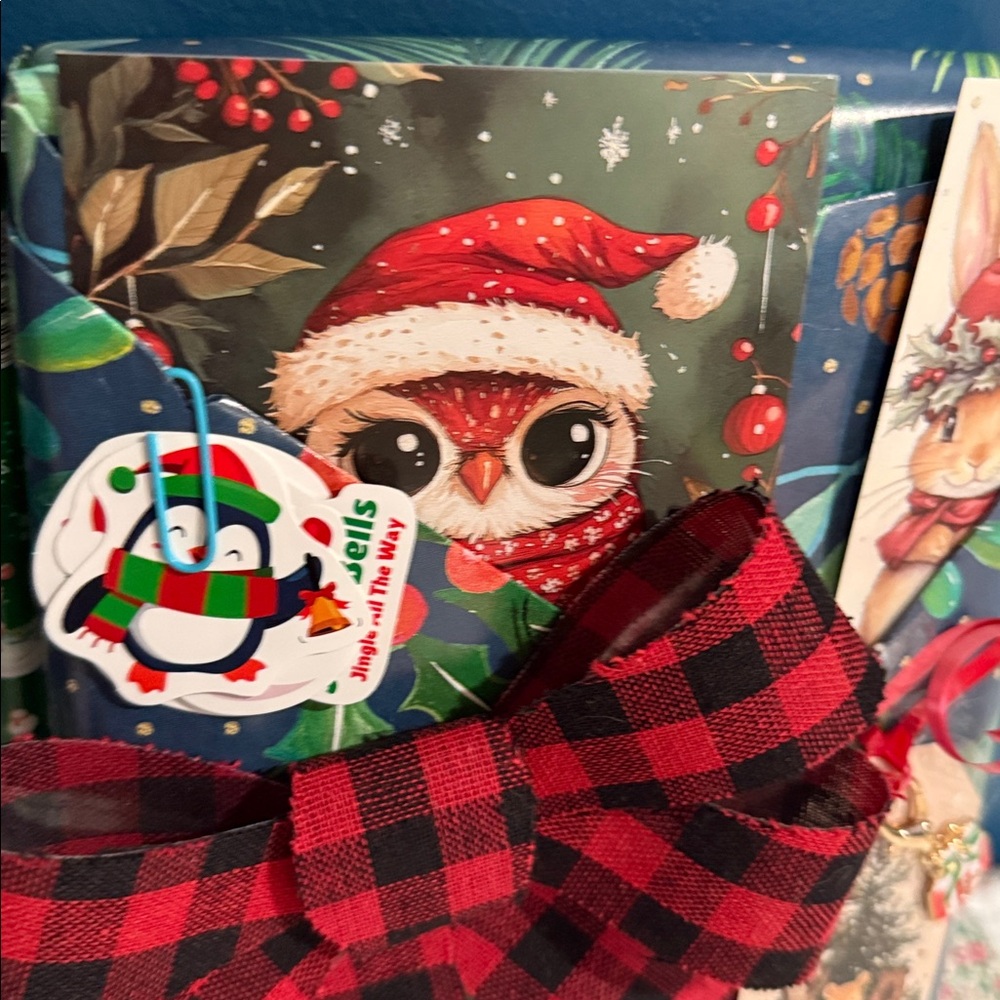 Blind date with a book Christmas edition hardcover - Picture 4 of 4